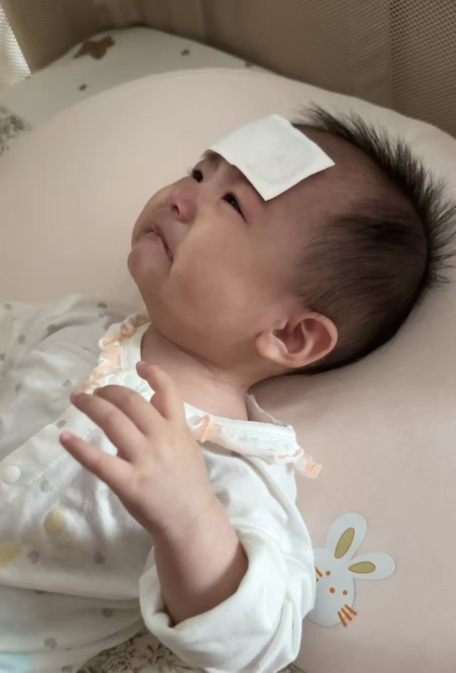 Weixin Image 20251107220747 1175 26